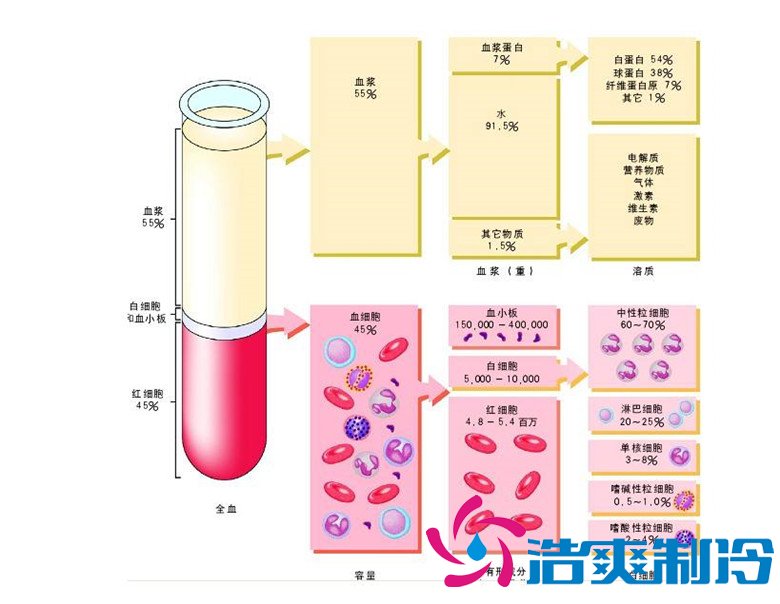 -30℃～-80℃血漿蛋白低溫冷凍庫規(guī)范，冷庫安裝價(jià)格